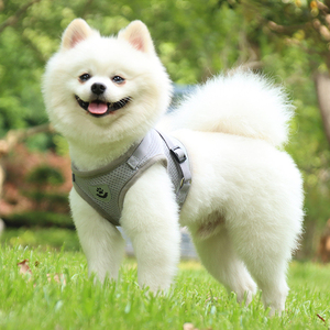 Harnais et gilets pour chiens de compagnie de marque en gros, respirants, en polyester, avec rembourrage en maille réfléchissante, gilet pour chien tendance, motif uni - Product Image 4