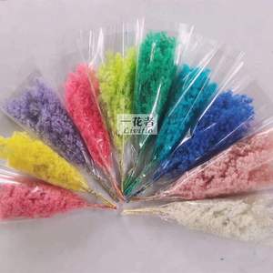 Decorazione Bestseller: Fiori Secchi, Felce Ming Conservata, Sfondo per Matrimoni e Decorazioni Murali - Product Image 2