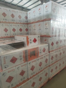 Offerta Speciale: Gas Refrigerante R600a C4H10 Ecologico ad Alta Purezza 99,9% per Unità AC, Disponibile in Bombole da 5kg e 420g - Product Image 4