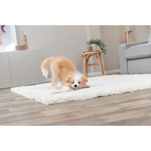 Jouet en corde de cuir Dragon 55 cm Jouet à mâcher pour animaux de compagnie - Product Image 3