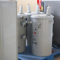 Transformateur immergé dans l'huile monophasé Shenmeng S1NM de haute qualité, monté sur poteau, 10 kV 0,4 kV, double enroulement, sans carte PCB, entièrement électronique