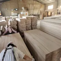 AB Grade Paulownia Pine Wood Timberber Raw Materials Supplier