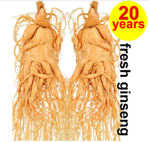 <span class=keywords><strong>Ginseng</strong></span>-extracto de <span class=keywords><strong>Ginseng</strong></span>, producto seco de raíz fresca a buen precio - Product Image 2
