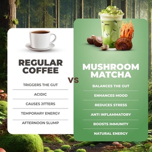 Café Matcha Bio Mélangé 100% avec Super Champignons Énergisants, Énergie Saine, Grains d'Arabica Instantanés, Extraits Végétaux et Champignons Reishi - Product Image 6