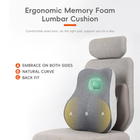 YUE RISE Coussin de soutien lombaire multifonctionnel à récupération lente, indispensable pour les femmes enceintes, les employés de bureau et les conducteurs