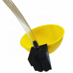 <span class=keywords><strong>Bebederos</strong></span> automáticos <span class=keywords><strong>de</strong></span> plástico para aves <span class=keywords><strong>de</strong></span> corral, <span class=keywords><strong>pollos</strong></span>, codornices, con tazas portátiles, nuevos <span class=keywords><strong>bebederos</strong></span> para palomas en casa, comedero para <span class=keywords><strong>pollos</strong></span> - Product Image 5