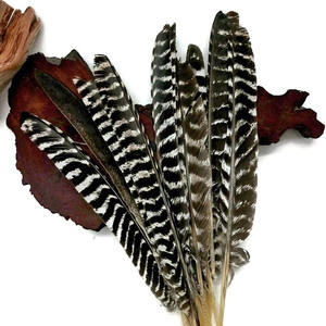 鹰尾羽天然羽毛笔装饰DIY工艺品材料配件 - Product Image 4
