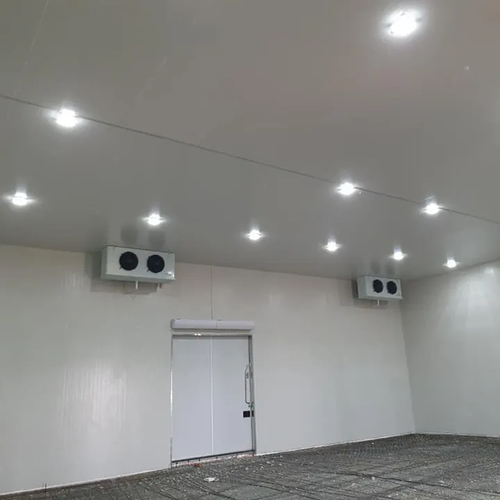 Sala fria personalizada do congelador Copeland dos compressores da sala de armazenamento 220V para hotéis