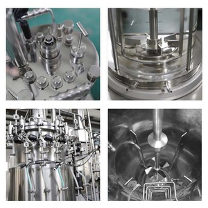 Nuovo Bioreattore da Laboratorio Automatico Innova 20L con Pompa, Pentola per Reazioni, <span class=keywords><strong>Autoclave</strong></span> Sterilizzante, 4 Ingressi Gas, Personalizzabile - Product Image 3