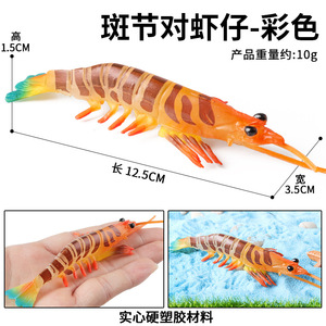 Modelli di simulazione cognitiva della vita marina per bambini: gamberetti maculati, tigre, giocattolo Pippin e animali marini - Product Image 4