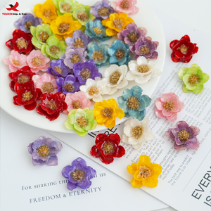 อุปกรณ์งานฝีมือเรซิ่น ดอกไม้สีเงินธรรมชาติ DIY ต่างหู สร้อยข้อมือ เครื่องประดับทำมือ ดอกไม้แห้ง GZ RTS สั่งซื้อแบบคละจำนวนมาก - Product Image 1