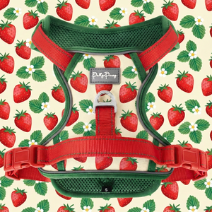 Arnés Táctico Ajustable para Perros con Logotipo Personalizado, Fácil de Controlar, Venta al por Mayor, Fabricante de Moda - Product Image 1