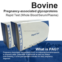 Bandelette de test rapide PAG (glycoprotéine associée à la gestation) pour bovins