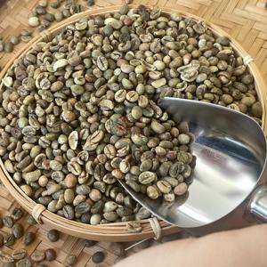 Haricots Café Vert Vietnam Robusta A Plus 95 À 99% Pureté 60kg Jute PP Sacs En Vrac Ingrédient Non Supplémentaire - Product Image 6