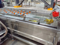 Ligne de machines automatiques de rinçage de cornichons pour la production de légumes déshydratés - Offre Spéciale