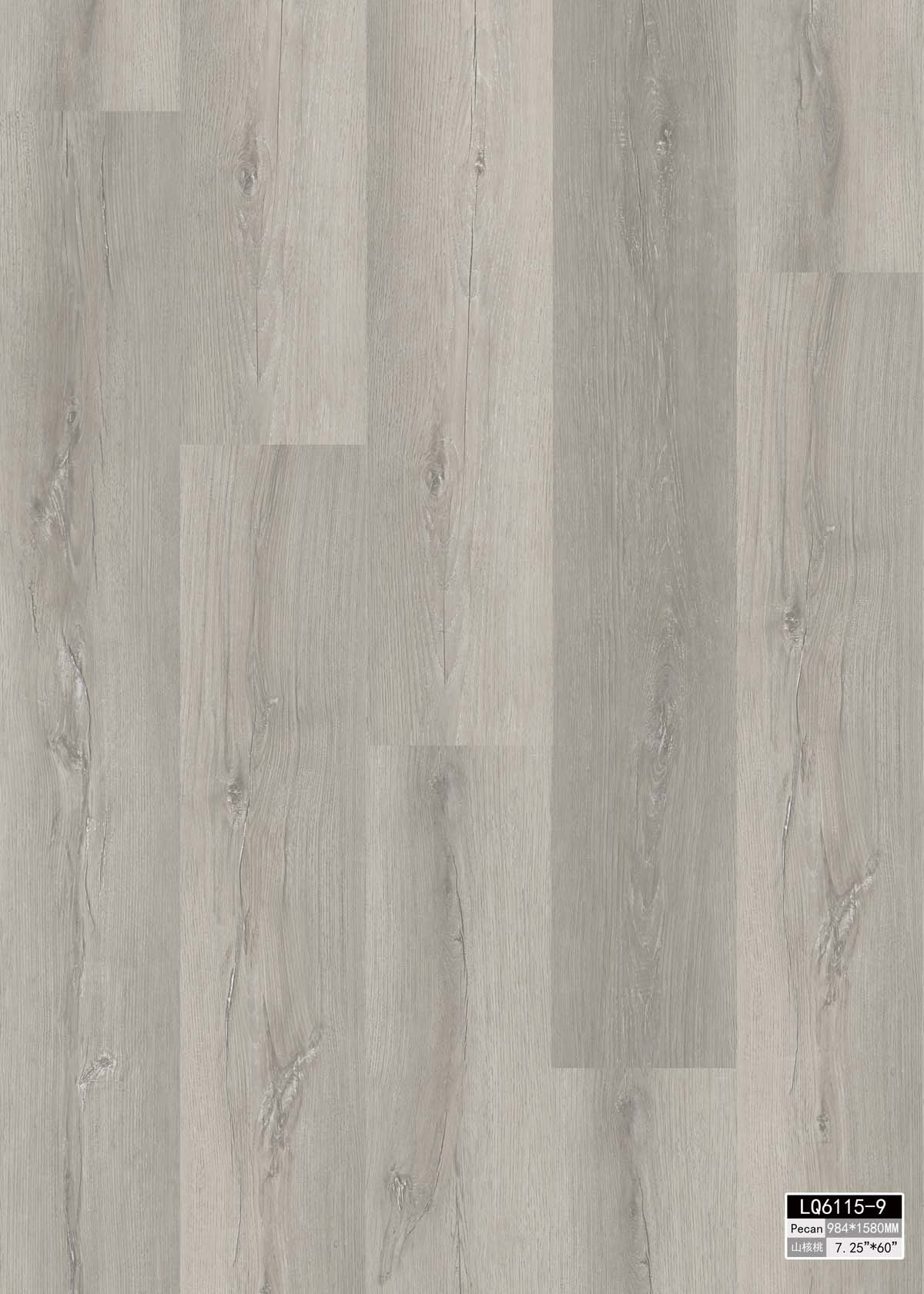 ดวงจันทร์สีเทา