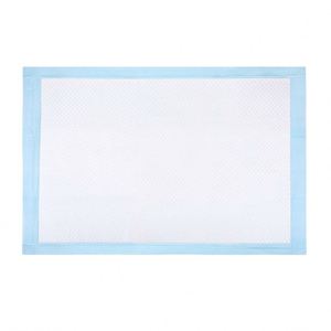 Coussinets d'apprentissage pour chiots super absorbants jetables, doux et à séchage rapide pour l'entraînement à la propreté des chiens - Product Image 1