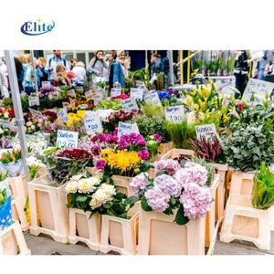Seau à fleurs en plastique pour tulipes, modèle hollandais, blanc, moderne, écologique, léger, marque haut de gamme, toutes saisons, pour la maison - Product Image 5