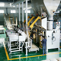 Machine d'emballage automatique multifonctionnelle pneumatique pour le remplissage et le scellage de sacs à valve, avec pesage intégré