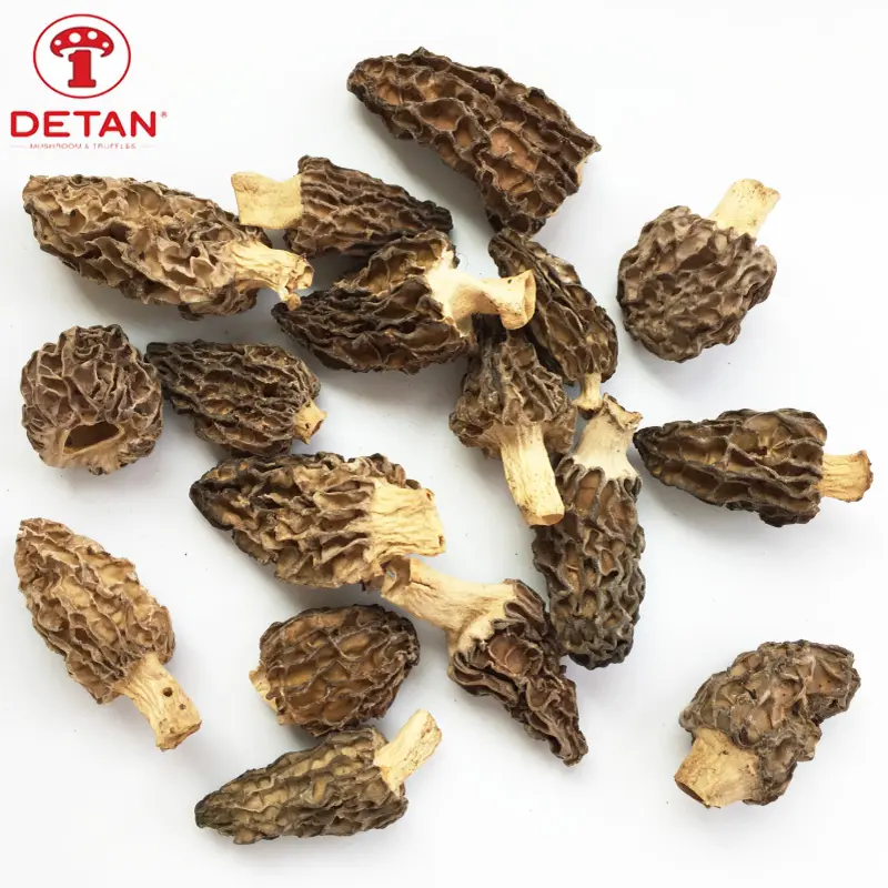 china wholesale dried wild mushroom DETAN export wild morel mushrooms for sale