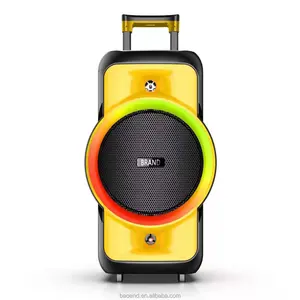 Apparecchiature audio/amplificatori/altoparlante karaoke esterno 12 pollici portatile party dj altoparlante trolley wireless 1000w con microfono wireless