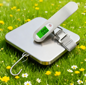 เครื่องชั่งน้ำหนักกระเป๋าเดินทางแบบพกพาอิเล็กทรอนิกส์สแตนเลสสำหรับใช้ในครัวเรือน ความจุ 50 กรัม-50 กิโลกรัม พร้อมตะขอ - Product Image 2