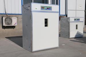 1000 Trứng Tự Động Lồng Ấp Trứng Gà Để Bán - Product Image 6