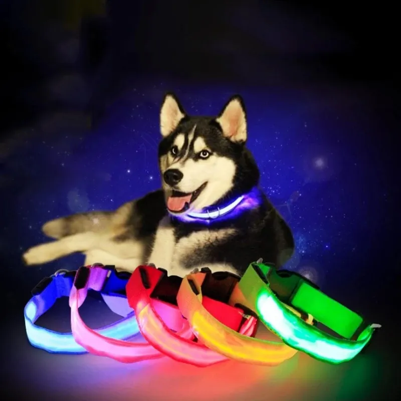 Collar brillante para mascotas, correa de seguridad nocturna para el cuello, Collar LED para perros, suministros para mascotas