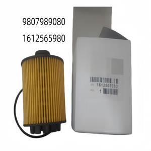 1612565980 Filtro de Aceite para <span class=keywords><strong>Citroen</strong></span> <span class=keywords><strong>C3</strong></span> C4 C5 Air Cross DS5 para Peugeot 2008 3008 4008 5008 508 1.6thp  9807989080 - Product Image 1