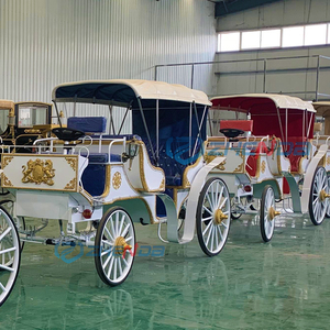 2026 electric White Sightseeing Horse Carriage/Royal Sightseeing Buggy/White Sightseeing Carriage Manufacturers - Product Image 2