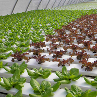 MAXPOWER saluran NFT hidroponik pot desain baru untuk sistem pertumbuhan hidroponik saluran stroberi