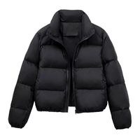 Manteau Court Matelassé Hiver 2024 pour Femme, Veste Chaude Zippée à Col Montant, Doudoune Décontractée Couleur Unie