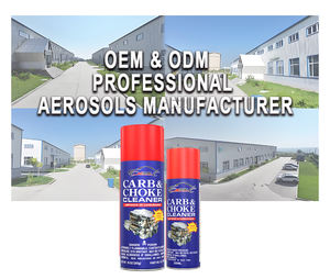 Limpiador de estrangulador de <span class=keywords><strong>carburador</strong></span> de acelerador de alta calidad al por mayor - Product Image 2