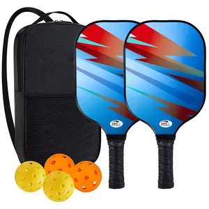 Raquette de Pickleball légère à noyau en nid d'abeille en polypropylène Graphite Pro approuvée par l'USAPA, ensemble de pagaies de Pickleball avec 2 pagaies