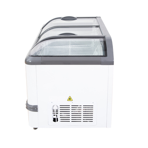 Congélateur Commercial 485L à Multiples Prises pour Marché, Vitrine Réfrigérée en Aluminium à <span class=keywords><strong>2</strong></span> <span class=keywords><strong>Portes</strong></span> pour Fruits de Mer, Viande et Crème Glacée - Product Image 5