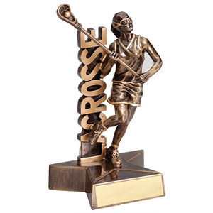 OEM अनुकूलित थोक राल नई पुरस्कार क्रिकेट ट्रॉफी और पुरस्कार, मेमोरियल स्मारिका बास्केटबॉल ट्रॉफी - Product Image 6