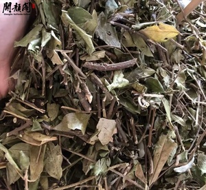 Meilleures ventes en gros : Feuilles de Gymnema séchées en vrac, Gymnema Sylvestre, sachets de thé coupés, extrait de thé coupé TBC, infusions à base de plantes en vrac - Product Image 5