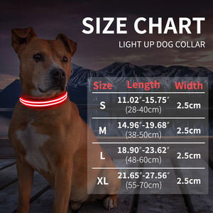 밤 <span class=keywords><strong>LED</strong></span> 번쩍이는 개 목걸이 2 선 광섬유 개 목걸이 빛에 어두운 개 안전 애완 동물 장치에 있는 유행 놀 - Product Image 4