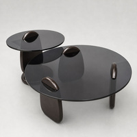 Table basse moderne haut de gamme avec plateau en verre miroir et cadre en bois, design durable, écologique, idéale pour les petits appartements, luxe et confort.