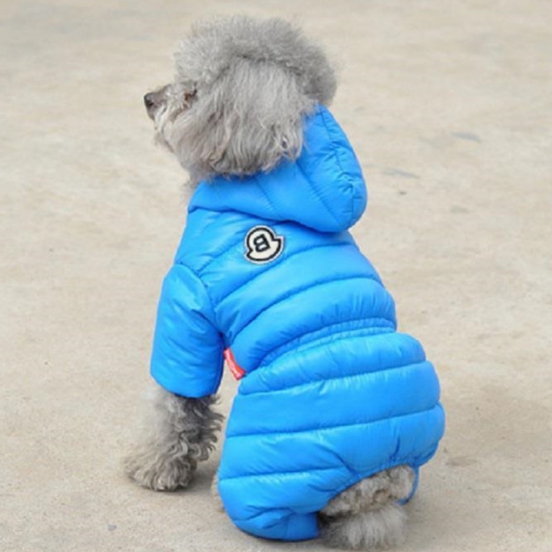 Popular Autumn Winter Faux Fur Dog