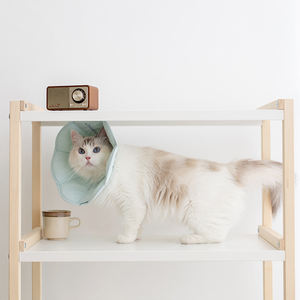 Collar Isabelino Ajustable y Suave de Nailon y Poliéster para Gatos Pequeños/Grandes y Gatitos - Ecológico - Product Image 1