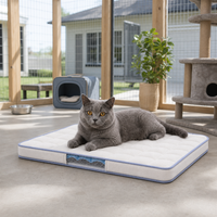 Matelas de repos pour chat en silicone rafraîchissant pour l'extérieur avec couche latérale transparente pour les voyages hivernaux et les zones de récupération couvertes