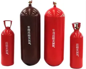 中国山东永安40L 120L 80L 55L车载天然气气瓶cng储罐CNG-1制造商