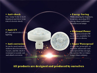 Lampe à LED IP65 RGB 24V pour parcs à thème, foire d'attractions, point d'éclairage, lumière d'amusement amusante