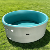 Piscine gonflable InflaToGo Large DWF PVC 3*1.2m 15cm d'épaisseur Garantie 2 ans Portable Installation facile Terrasse