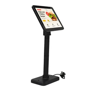 OSCY Factory Direct 9.7 Inch Customer Display With Pole 2x20 2-Line Hot Selling VFD For POS