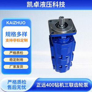Pompe à engrenages triple pour foreuse Zhengyuan 400, pompe hydraulique horizontale 1115133400, pompe de surpression multi-niveaux - Product Image 3