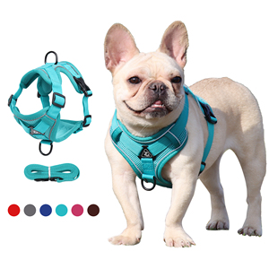 <span class=keywords><strong>Harnais</strong></span> de Sport en plein air <span class=keywords><strong>pour</strong></span> chiens, robuste, respirant et frais, <span class=keywords><strong>pour</strong></span> animaux de compagnie, ensemble <span class=keywords><strong>pour</strong></span> grands chiots, meilleure vente, été, - Product Image 6