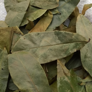 Parte de hoja seca de Guanábana de Vietnam para un uso saludable de bebidas - Product Image 1