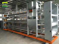 Nouveau produit Cage à poulets automatique pour poulettes de 3/4 étages, capacité de 90/120 poulets, cage à poulets pour l'élevage de volailles